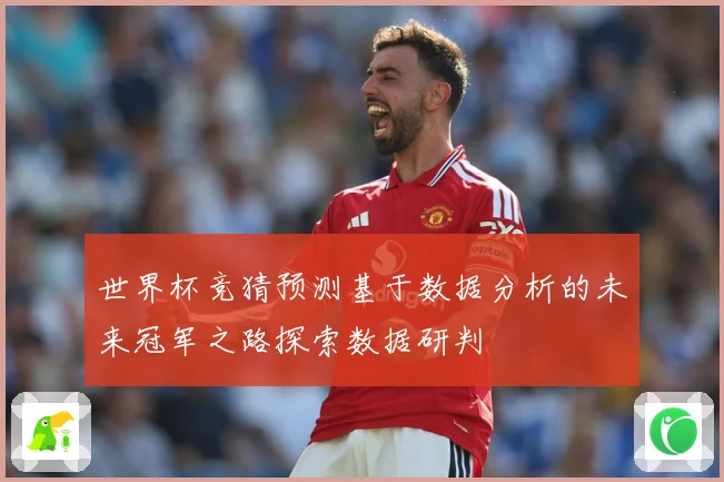 世界杯竞猜预测基于数据分析的未来冠军之路探索数据研判