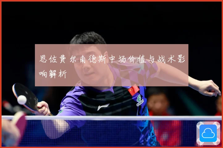 恩佐费尔南德斯中场价值与战术影响解析