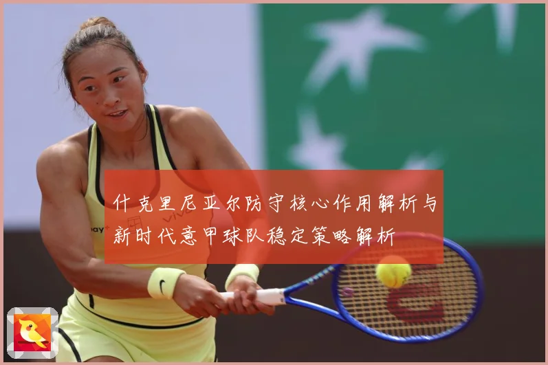 什克里尼亚尔防守核心作用解析与新时代意甲球队稳定策略解析