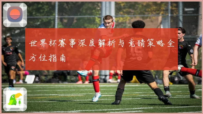 世界杯赛事深度解析与竞猜策略全方位指南